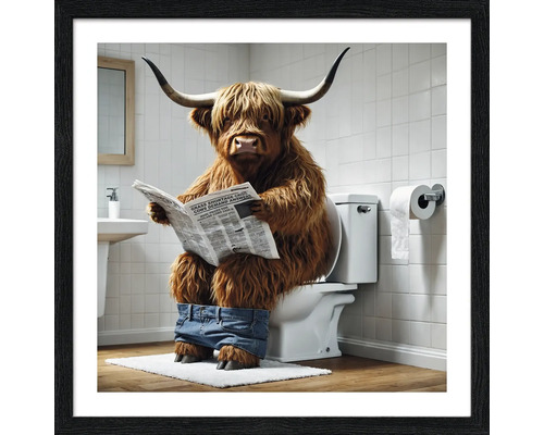 Gerahmtes Bild Lustiges Hochlandrind II 33x33 cm Illustration eines schottischen Hochlandrindes, das auf einer Toilette sitzt und eine Zeitung liest