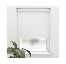 Weißes Rollo am Fenster mit Pflanze im Raum