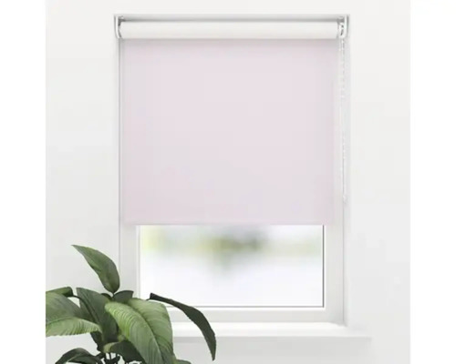 SOLUNA Verdunkelungsrollo V14 rosa 200x190 cm inkl. Klemmträger Fenster mit montiertem Rollo und Zimmerpflanze