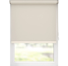 Rollo am Fenster zur Lichtregulierung
