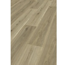 Handmuster Laminat 8.0 Sierra Eiche Gold
