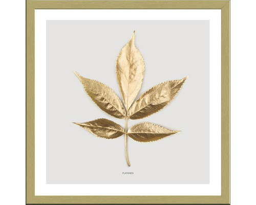 Gerahmtes Bild Golden Leaf I 33x33 cm