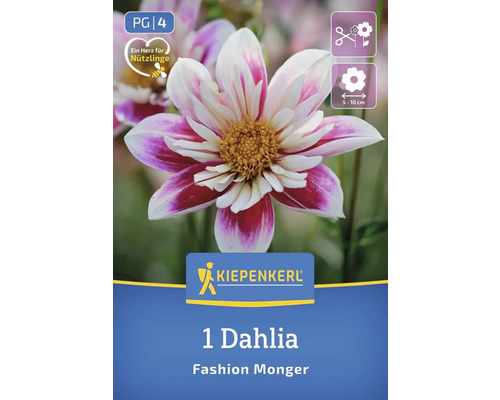 Eine Dahlie der Sorte Fashion Monger mit dem Symbol Herz für Nützlinge und der Kennzeichnung PG 4