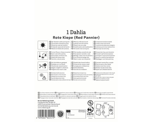 Verpackung einer roten Kiepe Dahlie