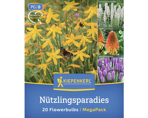 Nützlingsparadies Blumenmischung von Kiepenkerl, Megapack mit 20 Blumenzwiebeln
