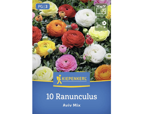 Kiepenkerl Logo, 10 Ranunkeln Aviv Mix