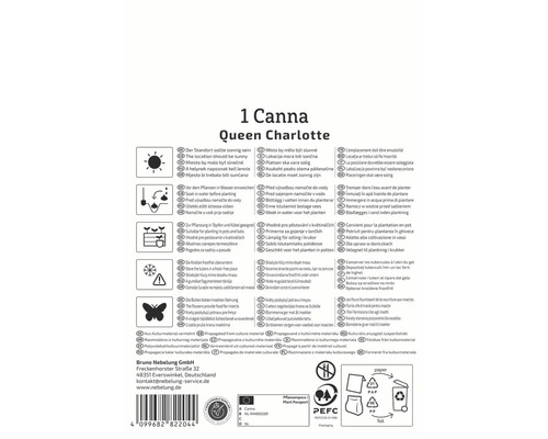 Informationen zur Queen Charlotte Canna Pflanze, einschliesslich Standort, Bewässerung, Pflanzgefässe, Überwinterung, Insektennahrung, Vermehrung und Verpackungshinweise