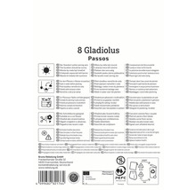 Verpackung Gladiolen Blumenzwiebeln mit Pflanzhinweisen