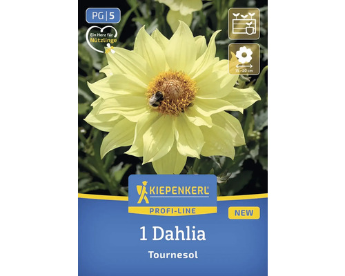 Kiepenkerl Logo. Dahlia Tournesol for beneficial insects.