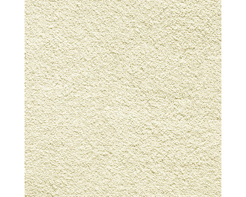 Teppichboden Shaggy Venezia ecru FB33 400 cm breit (Meterware) Nahaufnahme einer Putzoberfläche