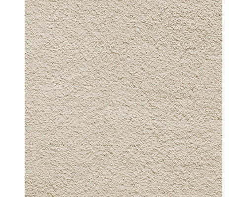Teppichboden Shaggy Venezia creme FB40 400 cm breit (Meterware) Nahaufnahme einer Putzstruktur als Hintergrund