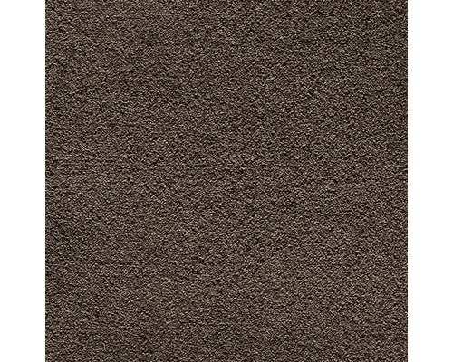 Teppichboden Shaggy Venezia schokobraun FB48 400 cm breit (Meterware) Nahaufnahme einer Putzoberfläche