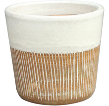 Dekorativer Pflanztopf für Innenräume