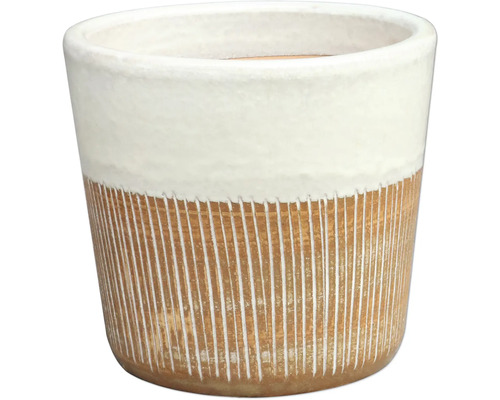 Dekorativer Pflanztopf für Innenräume