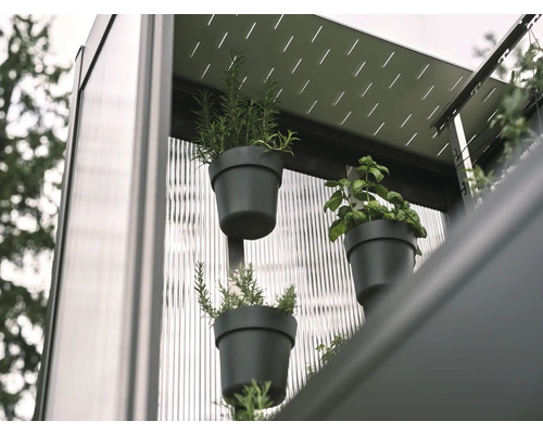 Pflanzentopf-Set Biohort Florentina grau Nahaufnahme von Kräutern in Töpfen an einer Wand, die ein vertikales Gartensystem bilden.