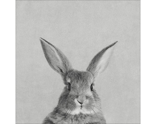 Leinwandbild Rabbit 27x27 cm
