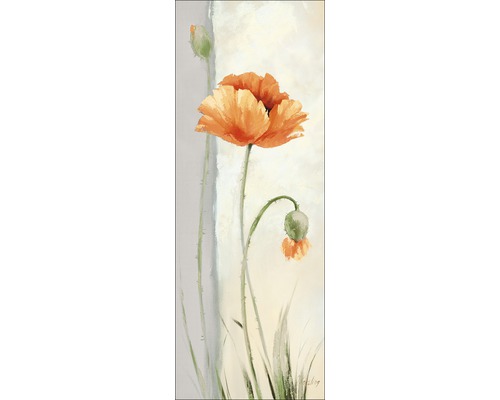 Leinwandbild New Poppy Variation II 27x77 cm