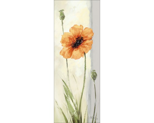 Leinwandbild New Poppy Variation I 27x77 cm