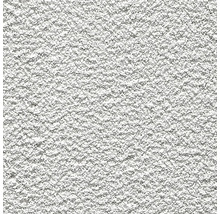 Nahaufnahme eines strukturierten, körnigen Putzes.