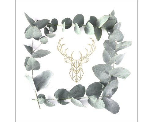 Leinwandbild Golden Dear Eucalyptus 40x40 cm Eukalyptusblätter umrahmen stilisierte Hirschkopf-Grafik