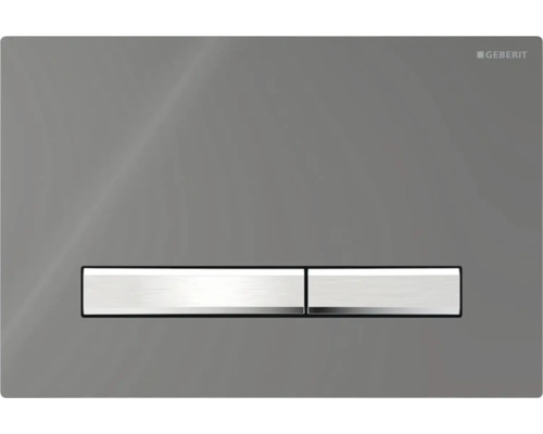 GEBERIT Betätigungsplatte Sigma 50 Platte Rauchglas verspiegelt / Taster chrom glänzend 115.788.SD.2 Geberit Betätigungsplatte für die Toilettenspülung