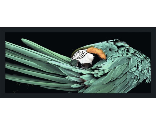 Gerahmtes Bild Green Parrot 60x130 cm