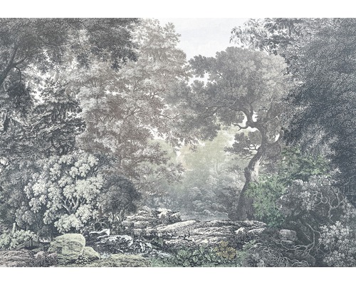 400 x Fototapete R4-060 280 cm Forest Vlies | 4-tlg. HORNBACH Fairytale