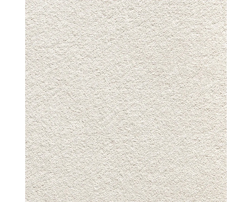 Teppichboden Shaggy Grizzly naturbeige FB38 400 cm breit (Meterware) Nahaufnahme einer Putzoberfläche