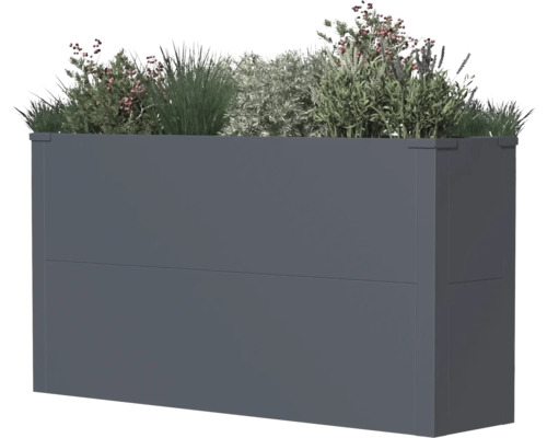 Rechteckiger Pflanzkasten mit verschiedenen Pflanzen