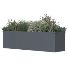Rechteckiger Pflanzkasten mit Bepflanzung