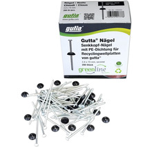 Gutta Senkkopf Nägel mit Dichtung und Verpackung