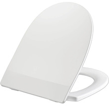 Toilettendeckel aus Kunststoff