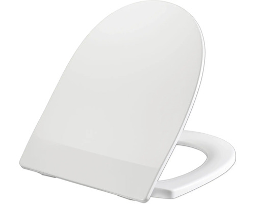 Toilettendeckel aus Kunststoff