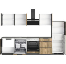 Küchenzeile mit Spüle, Geschirrspüler, Backofen, Dunstabzugshaube und Kühlschrank