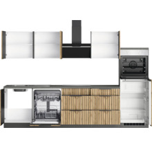 Komplette Küche mit Spüle, Geschirrspüler, Dunstabzugshaube, Backofen und Kühlschrank