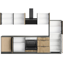 Küchenzeile mit Spülschrank, Kochfeld, Dunstabzugshaube, Backofen, Hängeschränken und Kühlschrank