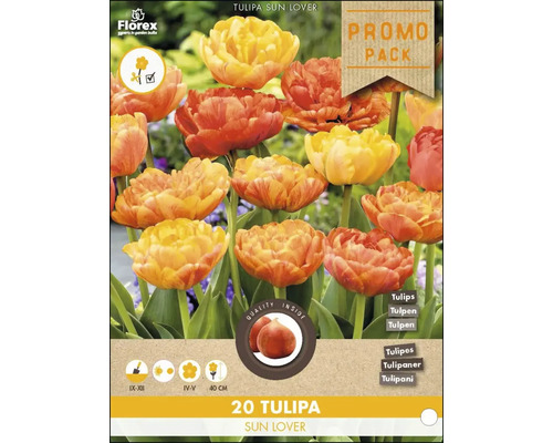 20 Tulpen Blumenzwiebeln Sun Lover im Promo Pack