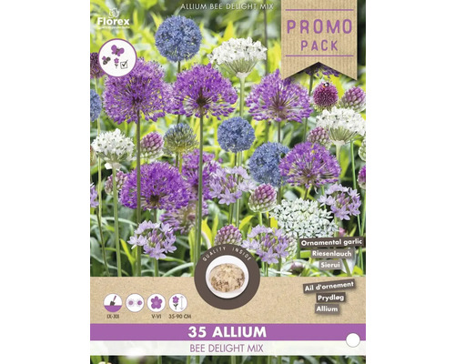 Florex Allium Bee Delight Mix Packung mit Zierlauch Blumenzwiebeln