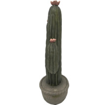 Dekorativer Kaktus für den Innenbereich in einem Topf