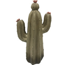 Dekorativer Kaktus mit Blüten für den Innenbereich