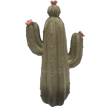 Dekorativer Kaktus mit Blüten für den Innenbereich