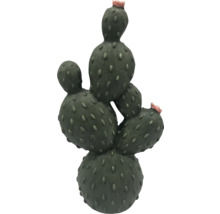 Dekorativer Kaktus mit Blüten als Gartendekoration