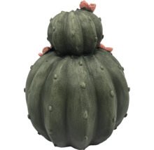 Dekorativer Kaktus für den Innen- und Außenbereich