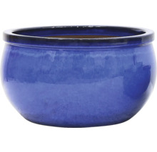 Blauer Blumentopf für den Innenbereich