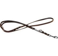 Braune Hundeleine aus Leder mit silberfarbenen Beschlägen.