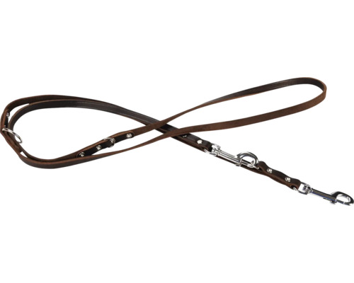 Braune Hundeleine aus Leder mit silberfarbenen Beschlägen.