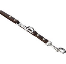 Braune Hundeleine aus Leder mit silberfarbenen Karabinern