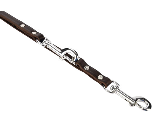 Braune Hundeleine aus Leder mit silberfarbenen Karabinern