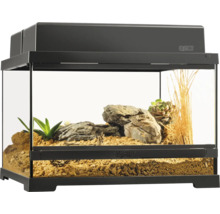 Eingerichtetes Exo Terra Terrarium mit Pflanzen und Steinen