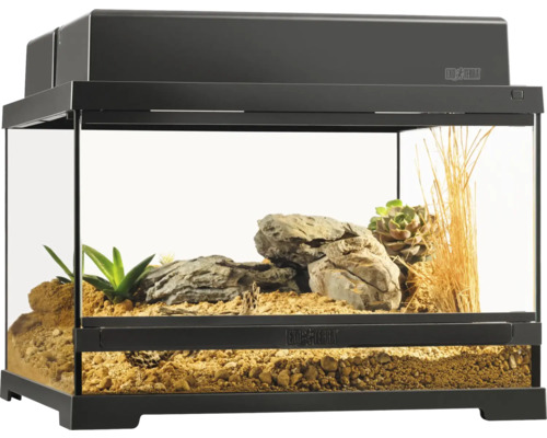 Terrarium Exo Terra EX- Pro Terrarium™ Small Low 45 x 45 x 30 cm ohne Dekoration, Bodengrund und Technik Eingerichtetes Exo Terra Terrarium mit Pflanzen und Steinen